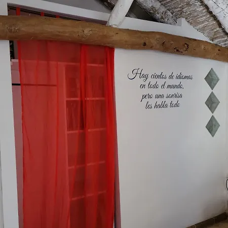 Hispano-brasilena Teletrabajo Recomendable Tatil Evi Salar